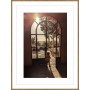 PRODUCT-129086