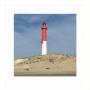 PRODUCT-129897